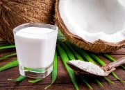 Manfaat Santan Untuk Kesehatan Jantung dan Turunkan Berat Badan