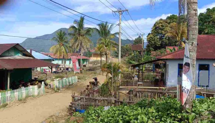 Cerita Warga Waturambaha yang Dipindahkan Pemerintah ke Dalam Kawasan Hutan