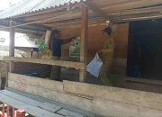 Bawaslu Buton Tertibkan APK yang Langgar Aturan