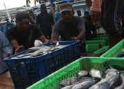 Sektor Perikanan Salah Satu Andalan Penggerak Ekonomi